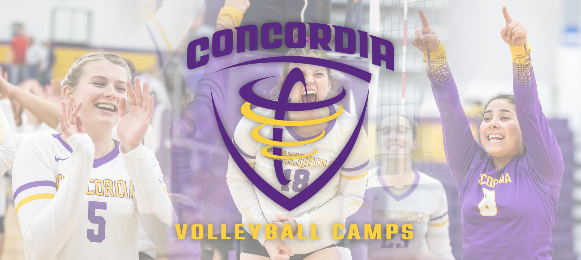 Concordia Texas Volleyball Camps Austin, Texas